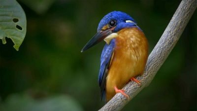 Love Nature En Espanol