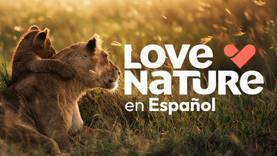 Love Nature En Espanol
